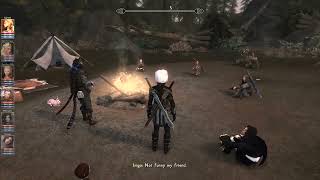 Skyrim SE Dragon Age Origins-like Party Camp Mod Small Progress4